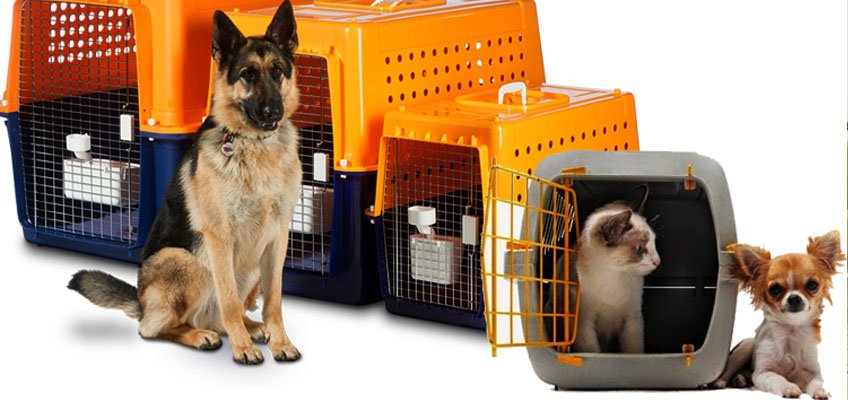 Pet Relocation Services
